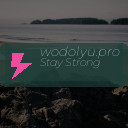 wodolyu.pro